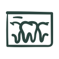 Teeth Cleanings & X-Rays